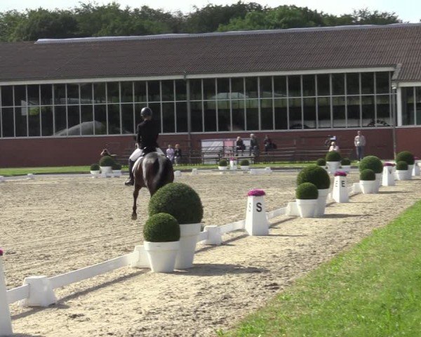 Reitturnier Langenfeld 2024