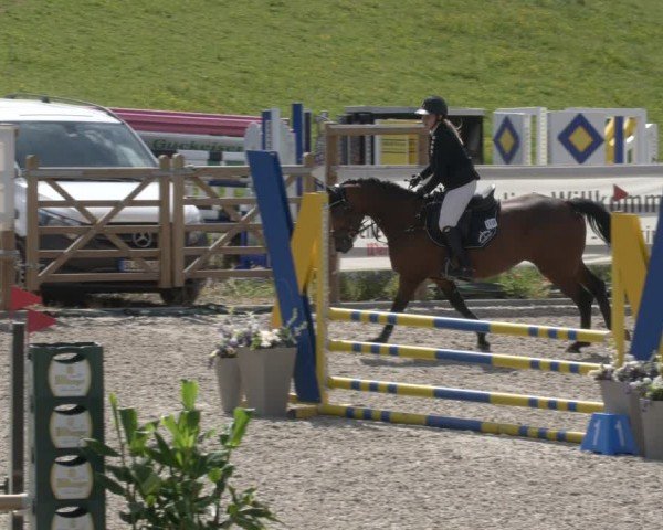 Reitturnier Margarethenhof / Beckingen 2024