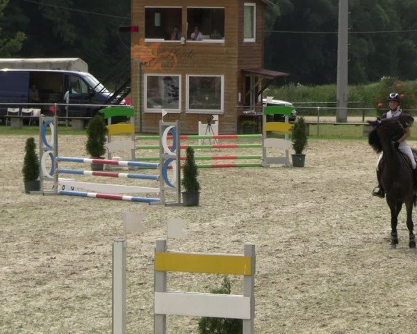 Reitturnier Bad Liebenstein/Sorga 2024