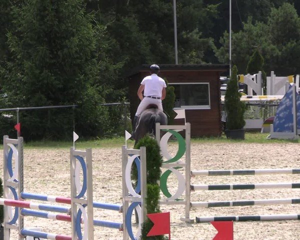 Reitturnier Bad Liebenstein/Sorga 2024