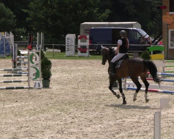Reitturnier Bad Liebenstein/Sorga 2024