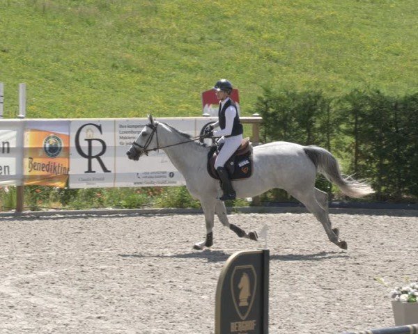 Reitturnier Margarethenhof / Beckingen 2024