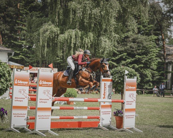 jumper Cinnamon Rose 3 (Hanoverian, 2017, from Carridam)