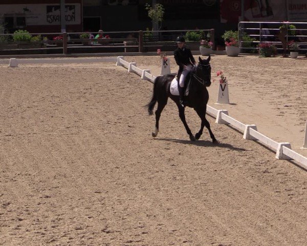Reitturnier Uder, Reitanlage Kobold 2024