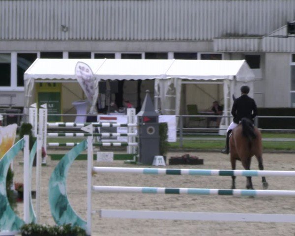 Reitturnier Langenfeld 2024