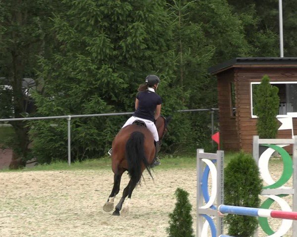 Reitturnier Bad Liebenstein/Sorga 2024