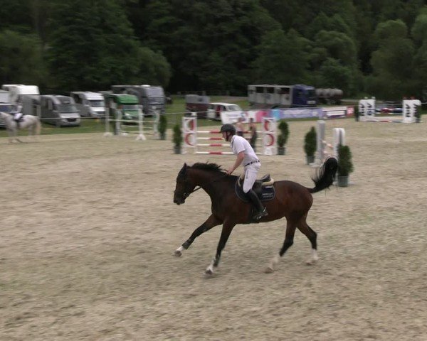 Reitturnier Bad Liebenstein/Sorga 2024