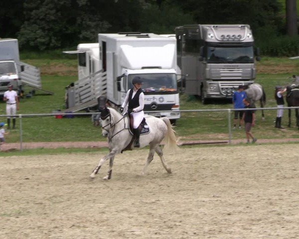 Reitturnier Bad Liebenstein/Sorga 2024