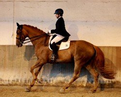 dressage horse Fleur en rouge (Hanoverian, 2012, from Fürst Nymphenburg)