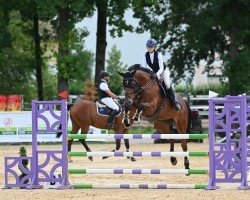 jumper Eiskönigin CT (Hanoverian, 2019, from Eldorado vd Zeshoek Tn)