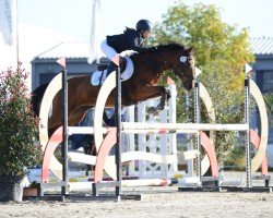 jumper Nala 160 (German Riding Pony, 2014, from Topolino)