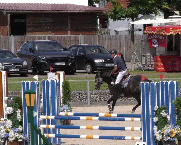 Reitturnier Ingolstadt-Hagau/Obb. 2024