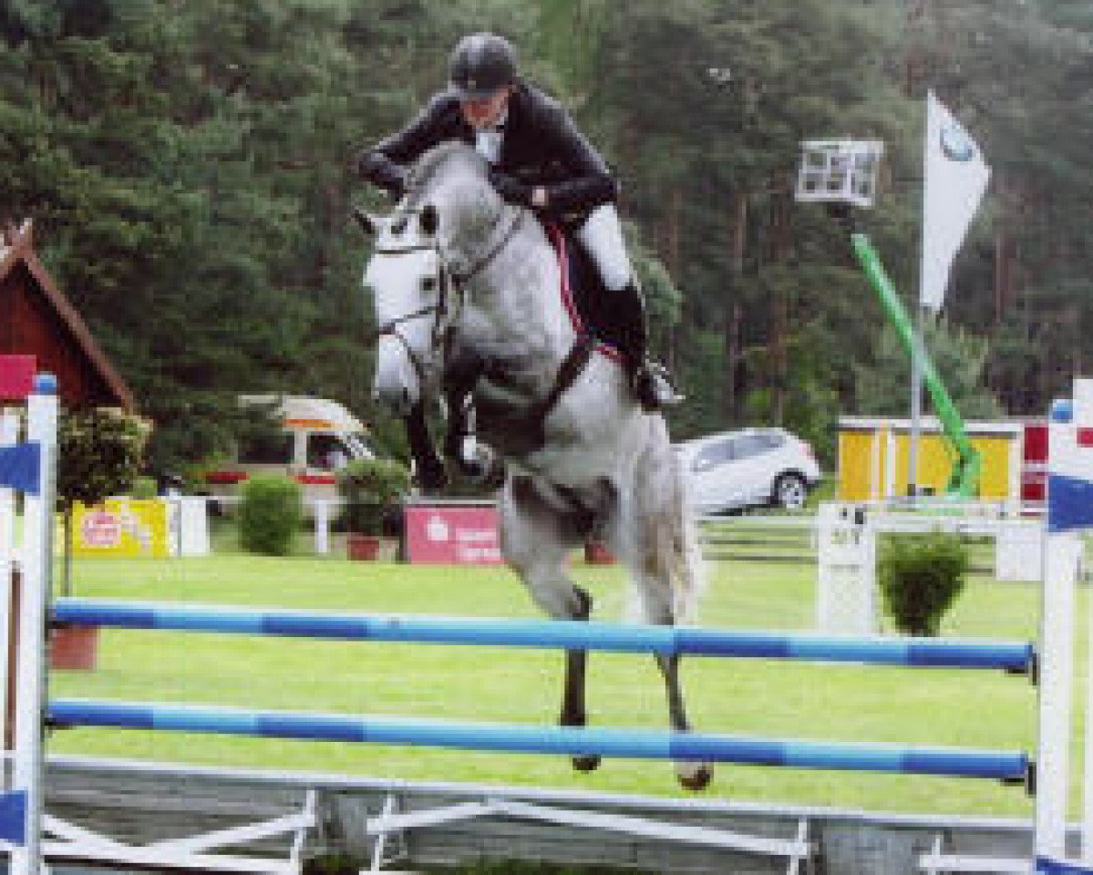 stallion Cassin 2 (Holsteiner, 2004, from Cassini I)