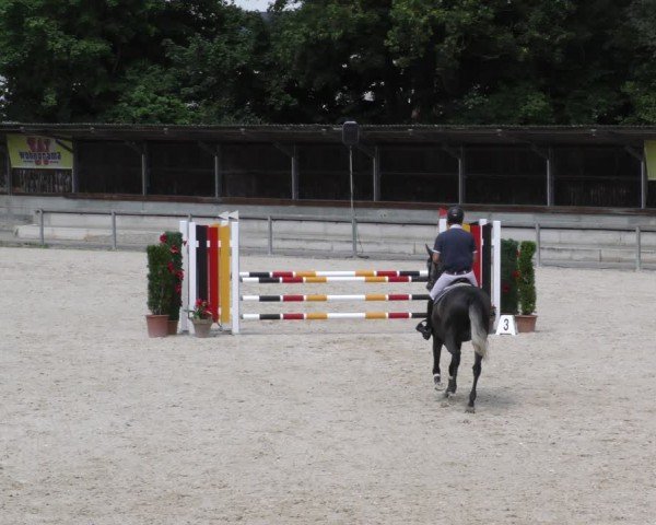 Reitturnier Ingolstadt-Hagau/Obb. 2024
