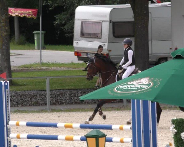 Reitturnier Ingolstadt-Hagau/Obb. 2024