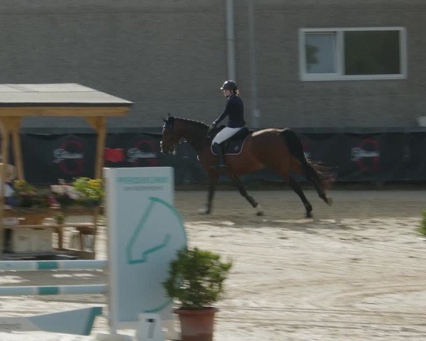 Reitturnier Kalenborn Hegehof 2024