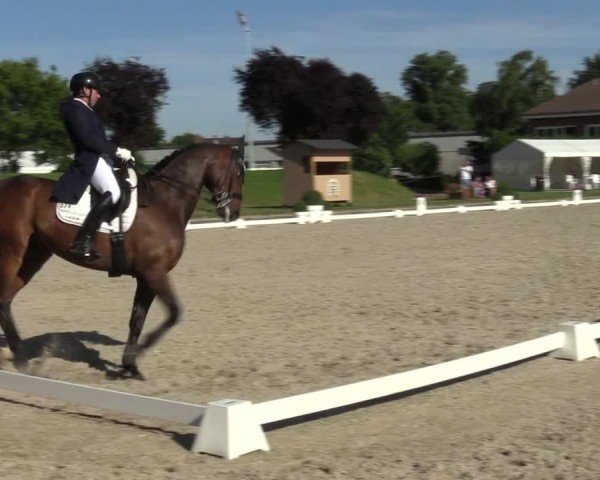 Reitturnier Langenfeld 2024