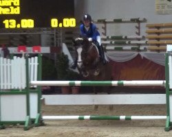 jumper La Bonita 54 (German Riding Pony, 2004, from Languard)