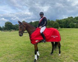 broodmare United Mara (Westphalian, 2018, from United Touch S)