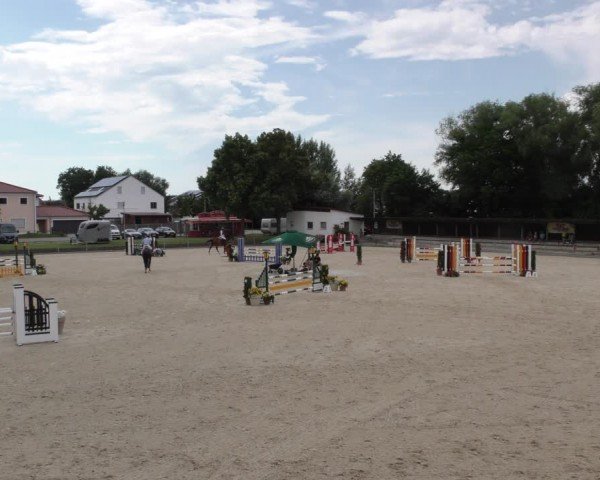 Reitturnier Ingolstadt-Hagau/Obb. 2024