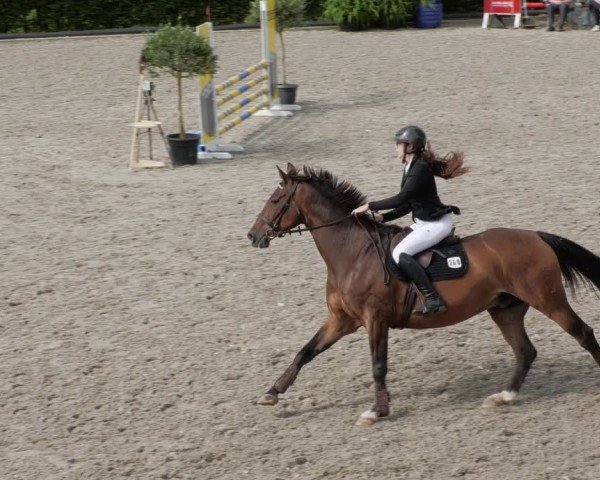 Reitturnier Margarethenhof / Beckingen 2024