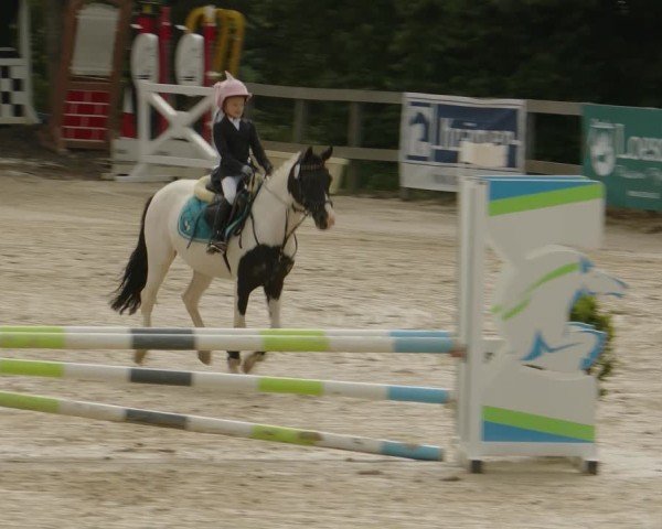 Reitturnier Kalenborn Hegehof 2024