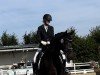 dressage horse Escardieu DB (Westphalian, 2019, from Escamillo)