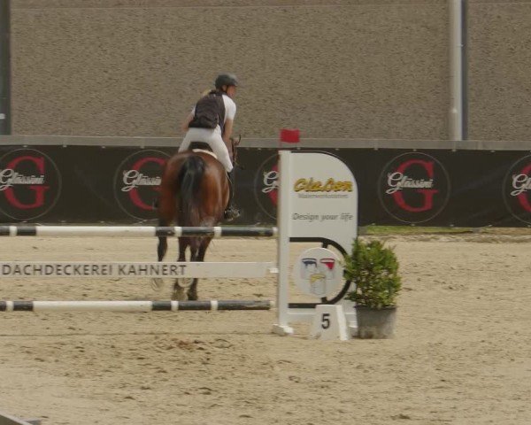 Reitturnier Kalenborn Hegehof 2024