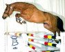stallion Vici van T Plutonia Hof (Belgian Warmblood, 1998, from Espri)