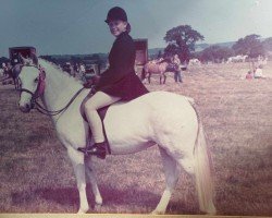 Pferd Burstye Jezireh (Welsh Pony (Sek.B), 1970, von Springbourne Bounty)