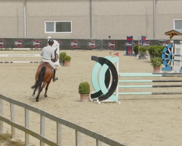 Reitturnier Kalenborn Hegehof 2024