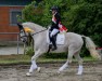 Zuchtstute Cimalaya T (Holsteiner, 2010, von Mighty Magic)