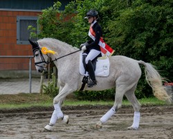 broodmare Cimalaya T (Holsteiner, 2010, from Mighty Magic)