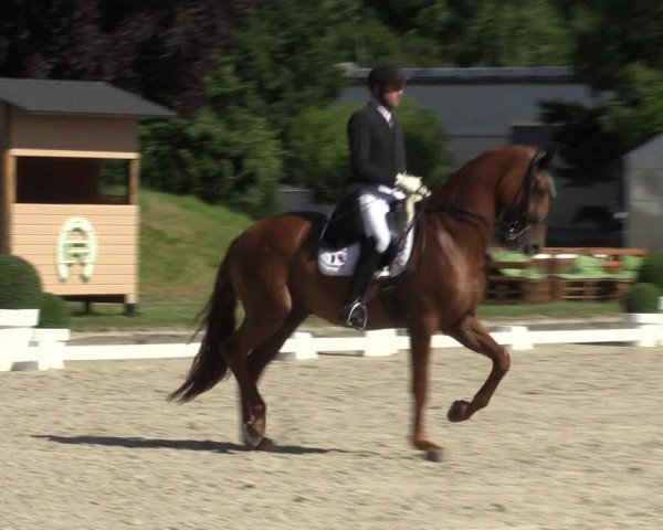 Reitturnier Langenfeld 2024