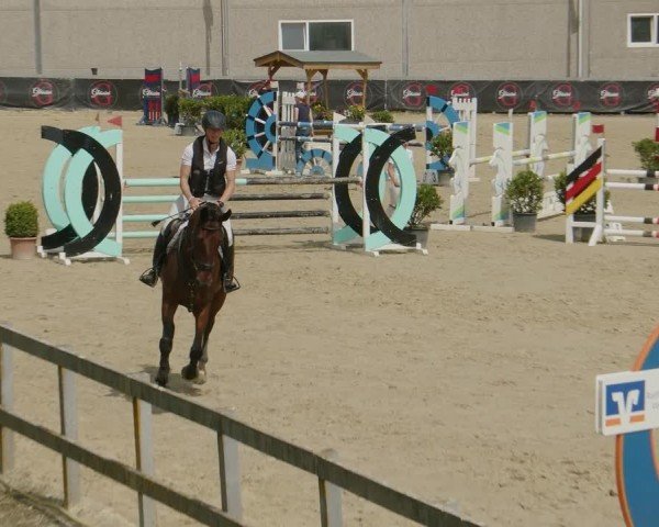 Reitturnier Kalenborn Hegehof 2024