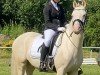 dressage horse Diamant CQ (German Riding Pony, 2019, from Dating At NRW)