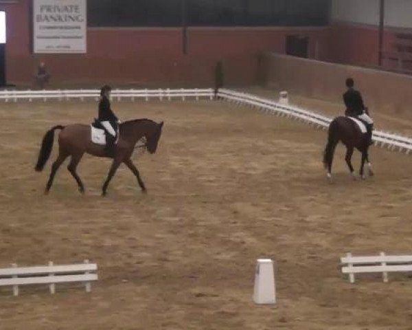 Junior Open 2012