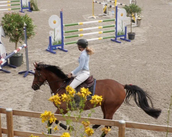 Reitturnier Margarethenhof / Beckingen 2024