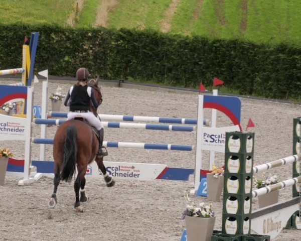 Reitturnier Margarethenhof / Beckingen 2024