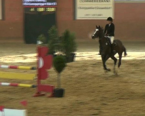 Junior Open 2012