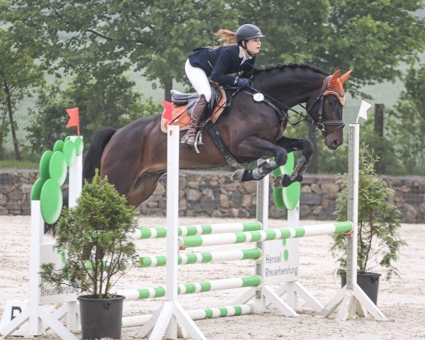 jumper Conrad S 3 (Oldenburg show jumper, 2020, from Cornet de Semilly)