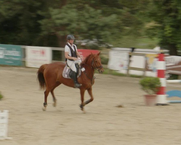 Reitturnier Kalenborn Hegehof 2024