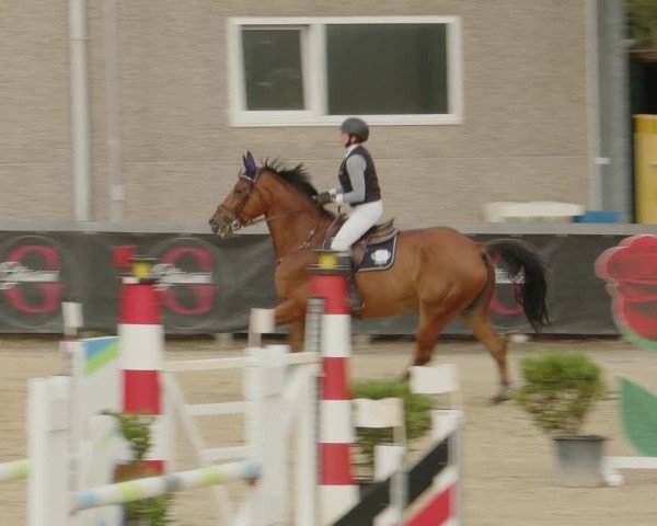 Reitturnier Kalenborn Hegehof 2024