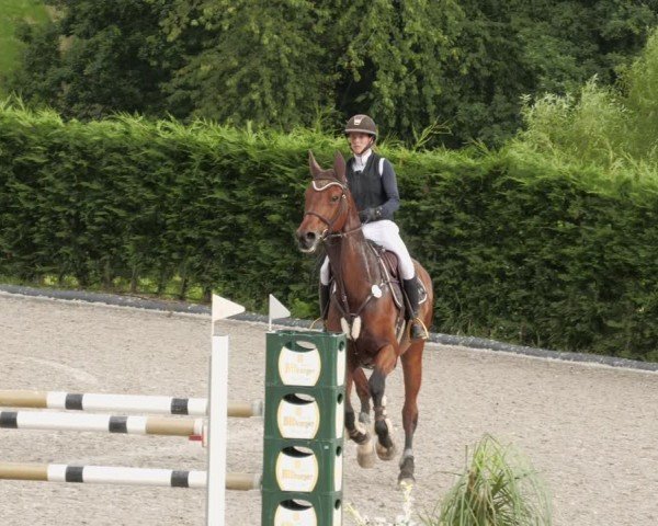 Reitturnier Margarethenhof / Beckingen 2024