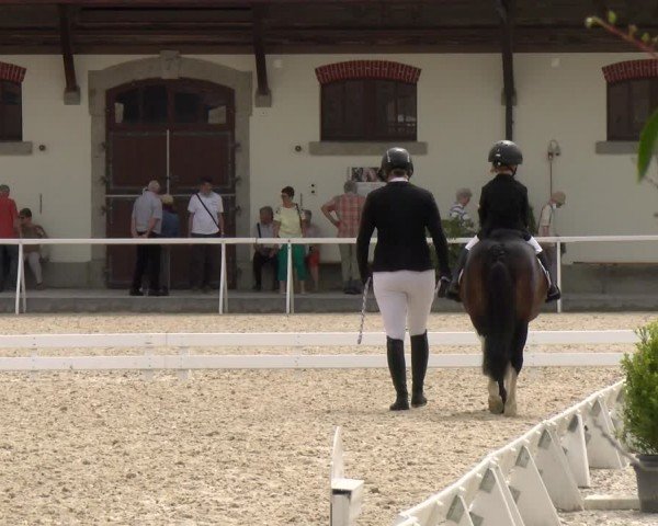 Reitturnier Avenches 2024