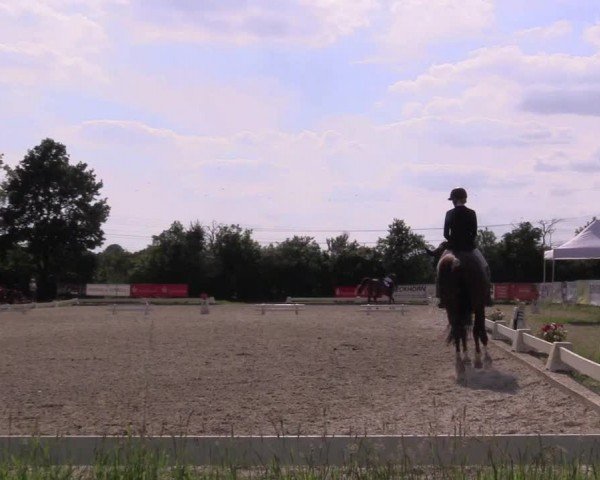 Reitturnier St. Georg Münster | Dressurtage am Aasee 2024