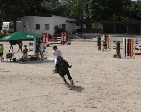Reitturnier Ingolstadt-Hagau/Obb. 2024