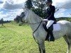 dressage horse Abella (Hungarian Warmblood, 2016)