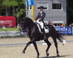 dressage horse Fabregaz (Bayer, 2007, from Florestano)