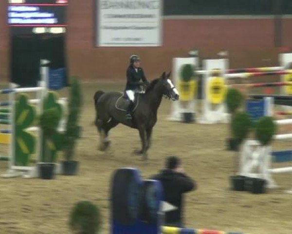 Junior Open 2012